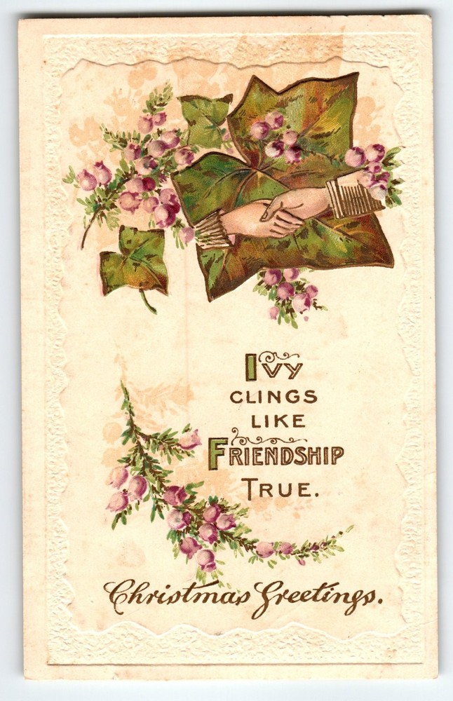 Vintage 1910 Embossed Christmas Postcard Ivy Friendship Design