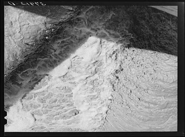 Bernalillo County,New Mexico,NM,Farm Security Administration,October 1940,FSA,1