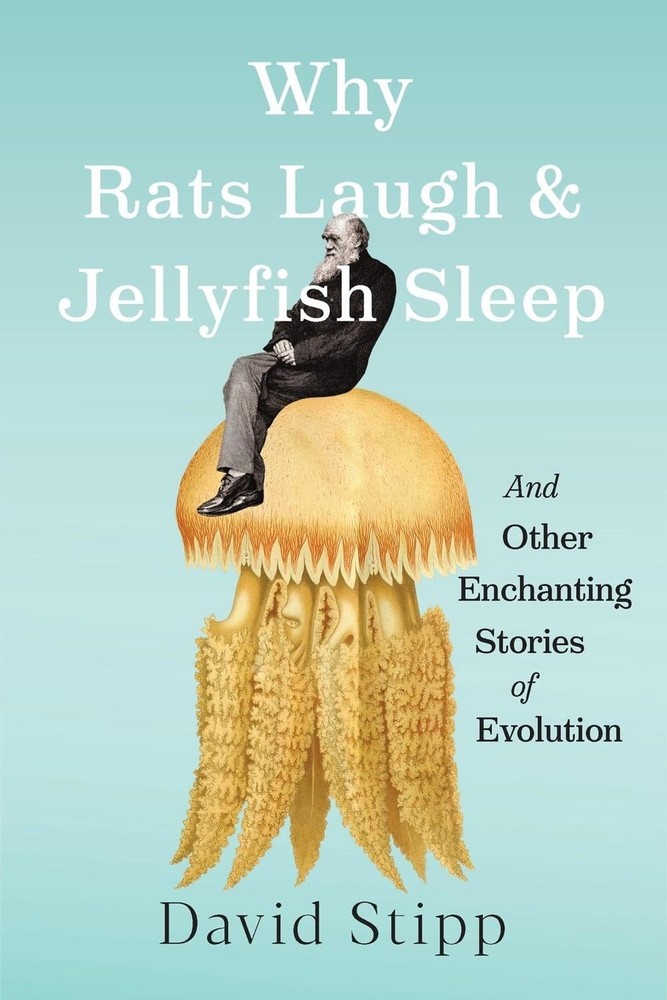 Why Rats Laugh and Jellyfish Sleep: and Other Enchanting Stories of Evolution by