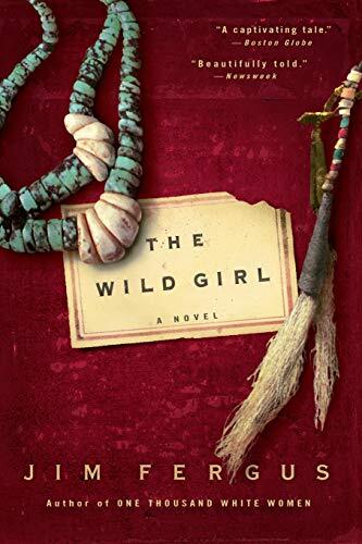 The Wild Girl Ned Gillespie Notebooks by Jim Fergus