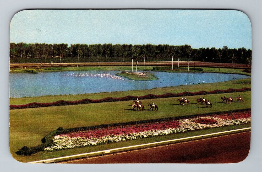 Miami FL-Florida, Hialeah Race Course, Parading To Post, Vintage c1955 Postcard