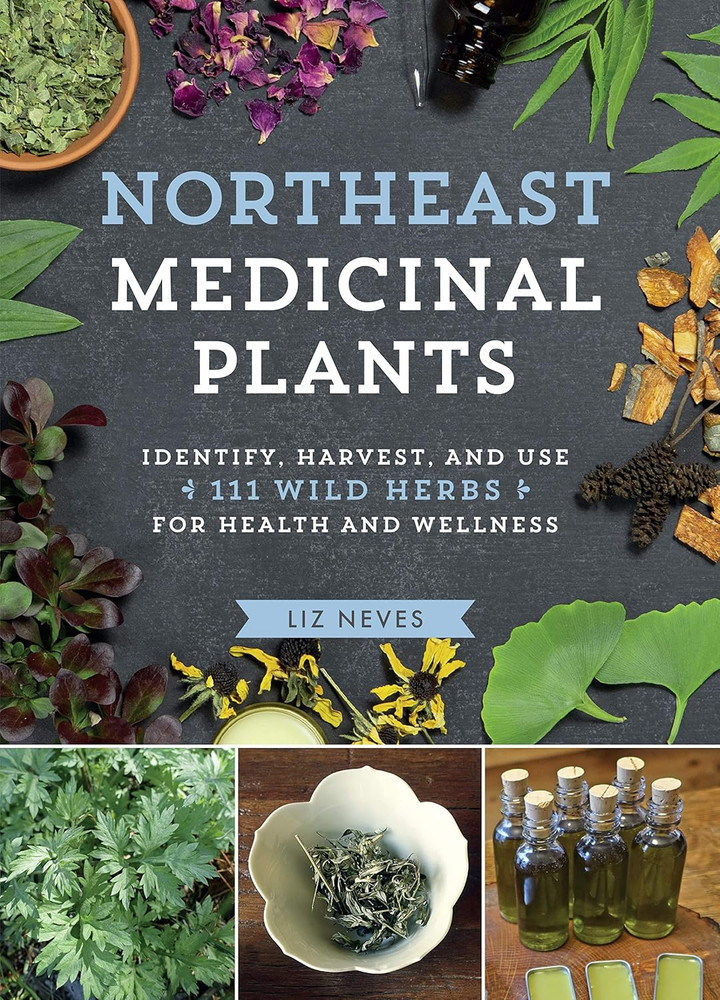 Northeast Medicinal Plants: Identify, Harvest, and Use 111 Wild Herbs for Health