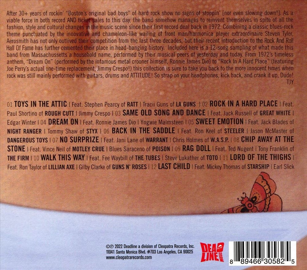 Various Artists Tribute To Aerosmith [Big Eye] New Cd