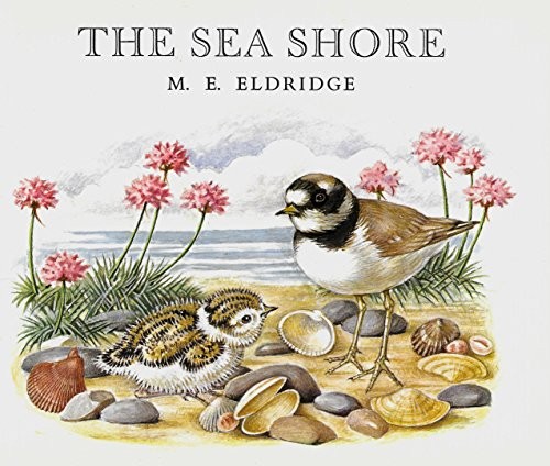 The Sea Shore by Eldridge, M.E. Paperback Book The Fast Free ShippingFREE US DELIVERY | ISBN: 0855030917 | Quality Books