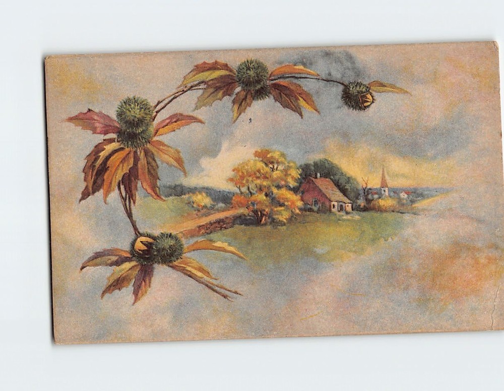 Postcard Countryside Nature Scene