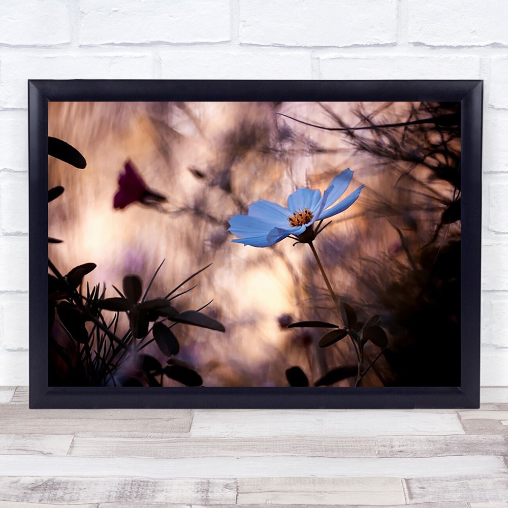 L'Indiffacrence Flower Bokeh Garden Flowers Wall Art Print