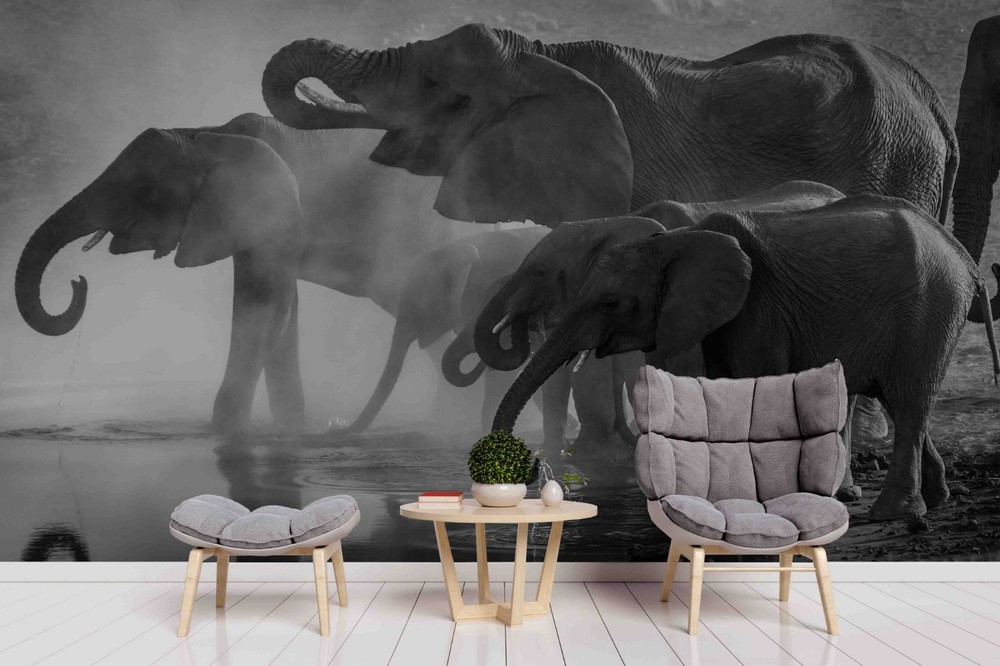 3D Elephant Animal Wall Murals Wallpaper Murals Wall Sticker