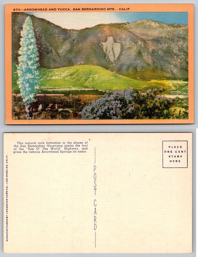Vintage ARROWHEAD & YUCCA San Bernardino Mountains CALIFORNIA Linen Postcard