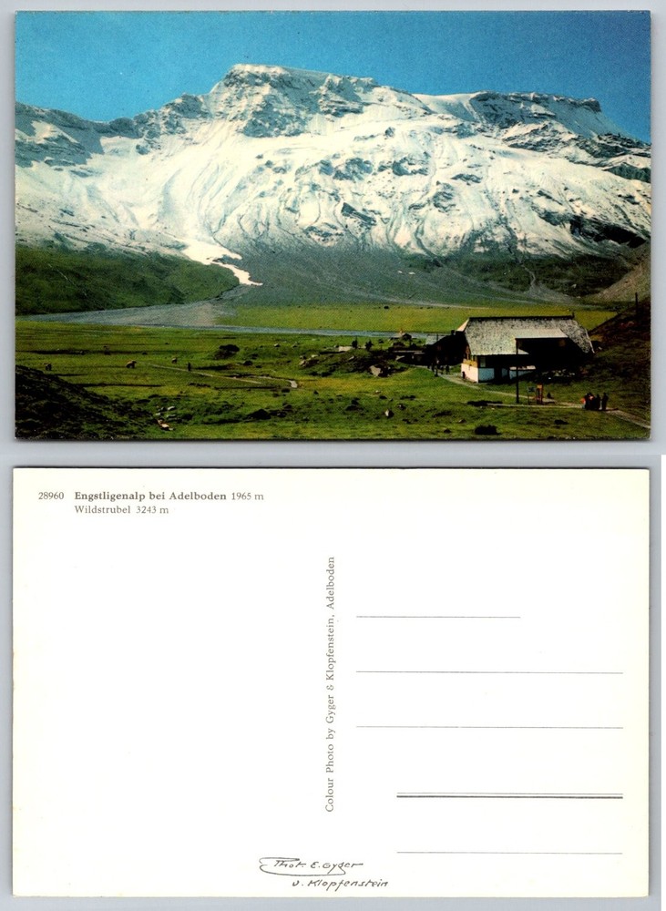 Engstligenalp Adelboden Wildstrubel Switzerland Mountain Photo Postcard