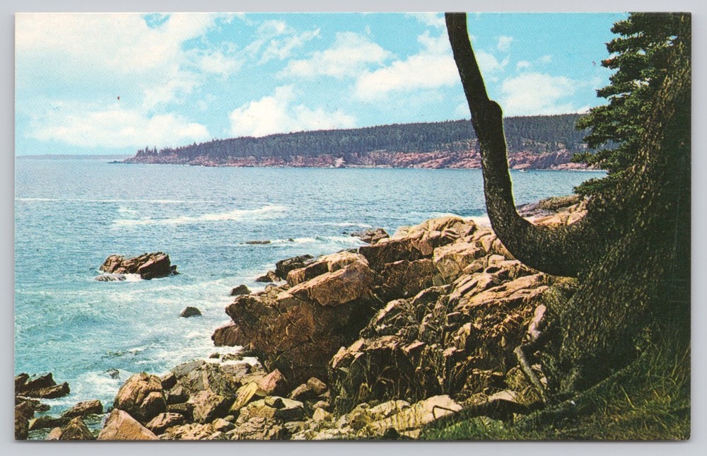 Postcard Otter Cliffs Acadia National Park Maine-image