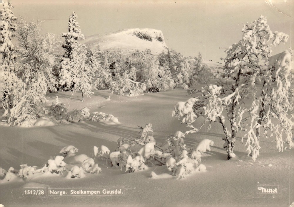 1950s Mittet & Co Skelkampen Gausdal Norway Real Photo RPPC Winter Postcard