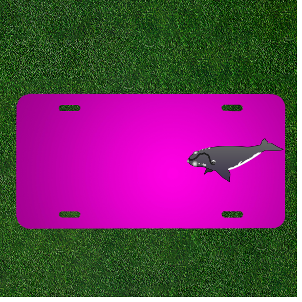 Custom Personalized Car License Plate With Add Names To Whale Swimming Ocean