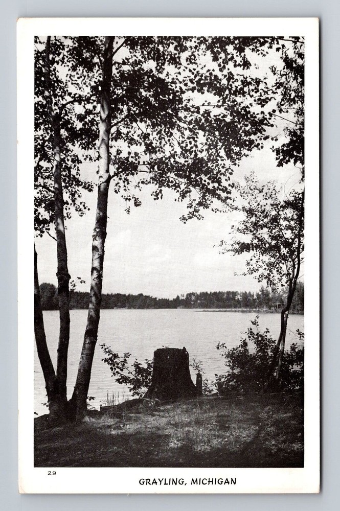 Michigan MI Grayling Scenic View Vintage Postcard
