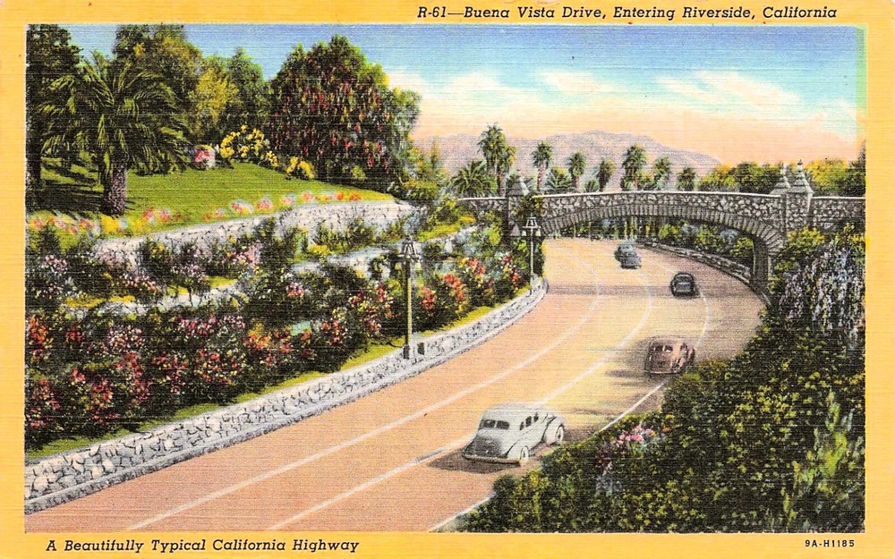 Riverside CA Buena Vista Drive Carlson Park Highway Bridge Vtg Postcard E32