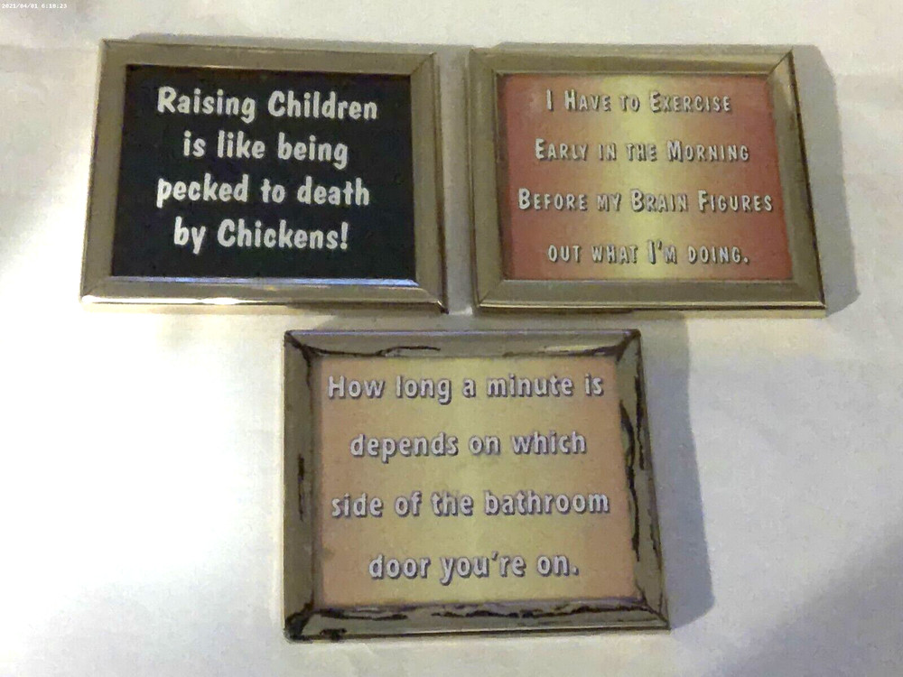 Vintage Refrigerator Magnets  Framed 3X 2-1/2  Funny Themes  Lot of 3