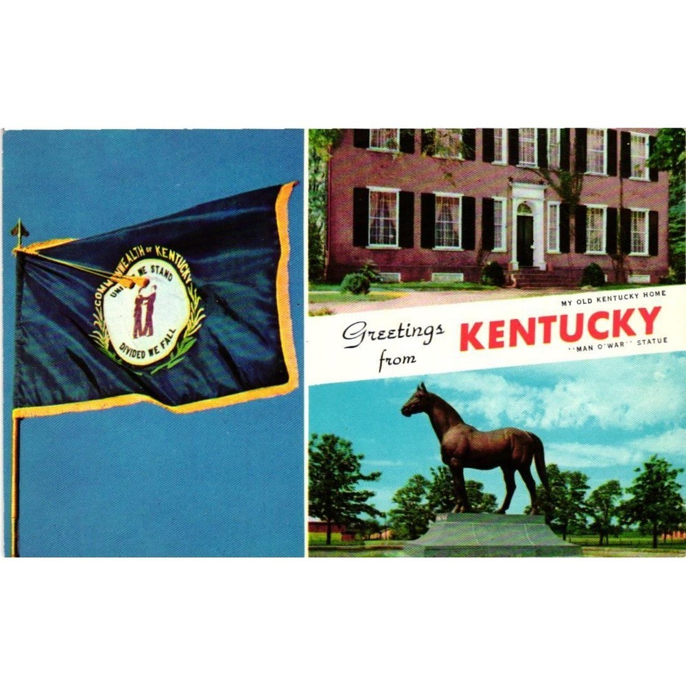 VTG 1960 Greetings From Kentucky Postcard Man o' War My Old Kentucky Home Flag