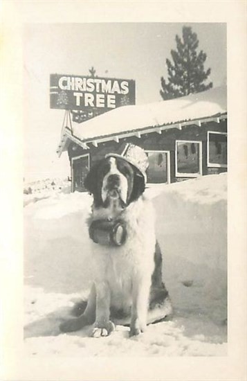 CA, Mill Creek, California, RPPC, Saint Bernard Lodge