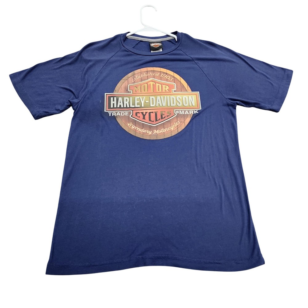 Harley-Davidson Shirt Mens Medium Blue Barnett El Paso Texas Graphic Tee Biker