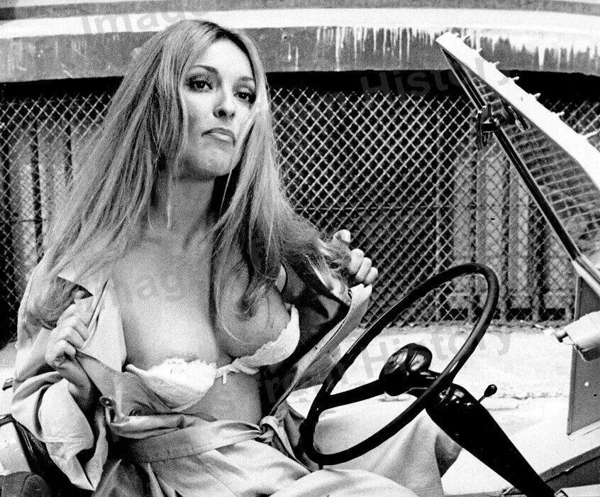 Sharon Tate In Bra Sexy In A Car Black And White 4x6 Picture Celebrity Print