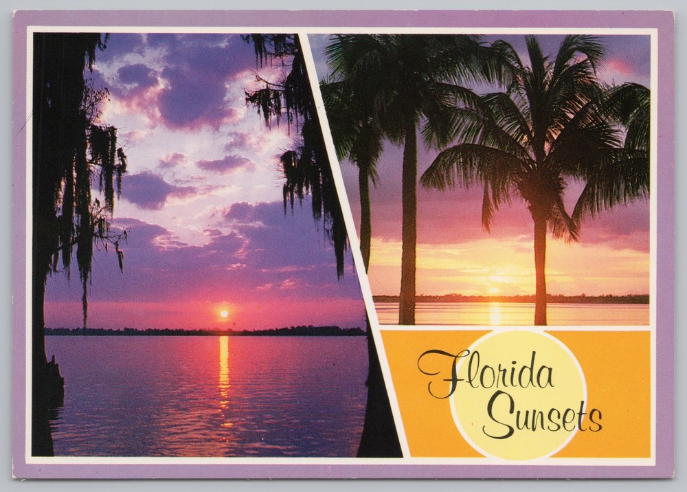 State View~Photos of Florida Pink/Purple/Yellow Sunsets~Continental Postcard
