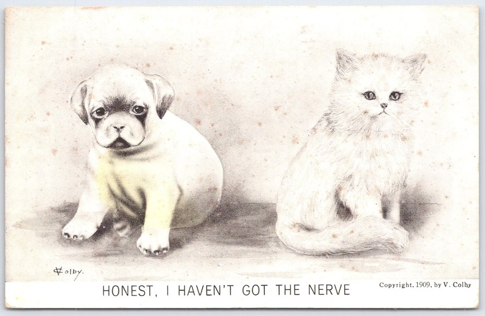 1909 V. Colby Puppy and Kitten Vintage Art Postcard 'Haven't Got The Nerve'