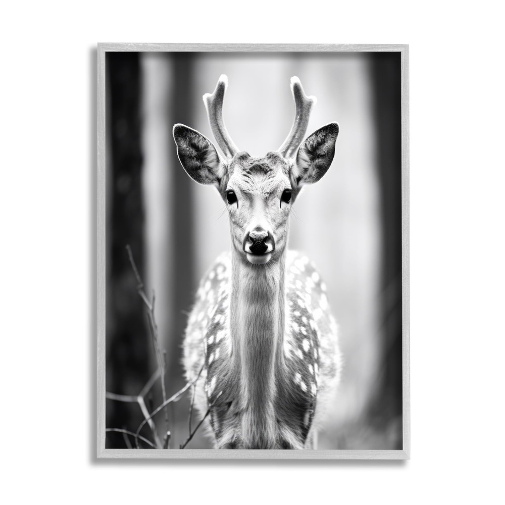 Baby Fawn Photography Framed Giclee Art by Ray Powers