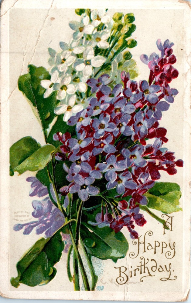 Vintage - Lovely Purple Flowers Nature Embossed Birthday - Postcard - P12