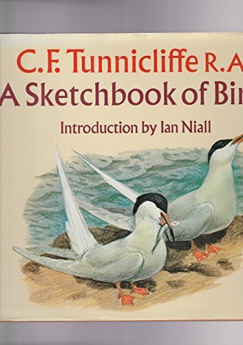 Sketchbook of Birds by C.F. Tunnicliffe - Nature Art Illustrations