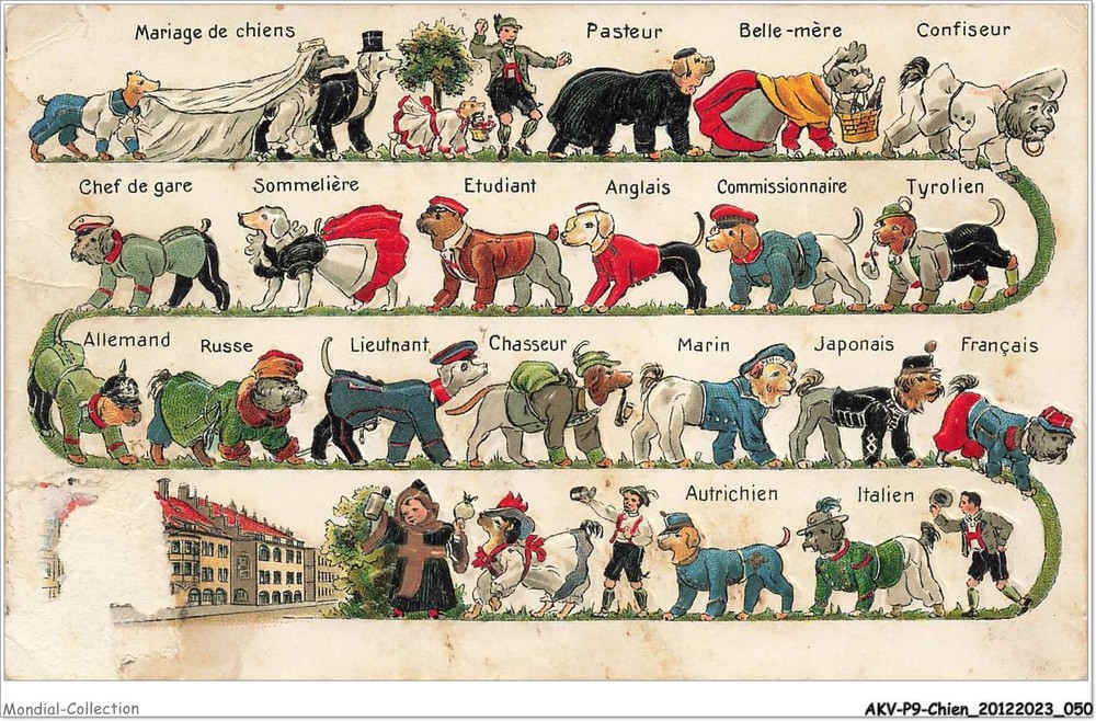 AKVP9-0670-DOG - DOG WEDDING - PASTEUR - MOTHER-IN-LAW - CANDY MAKER