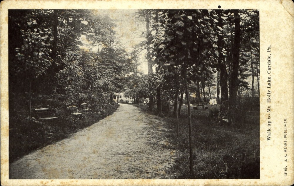 Road to Mt. Holly Lake Carlisle Pennsylvania ~ UDB c1905 vintage postcard