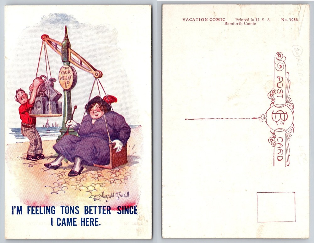 Vintage Donald McGill Comic Postcard Beach Scales Weight Humorous Bamforth