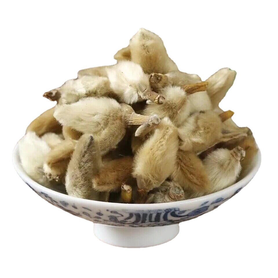 Flos Magnoliae Lilliflorae Magnolia Flower Buds Xin Yi Hua Organic Herbal Tea