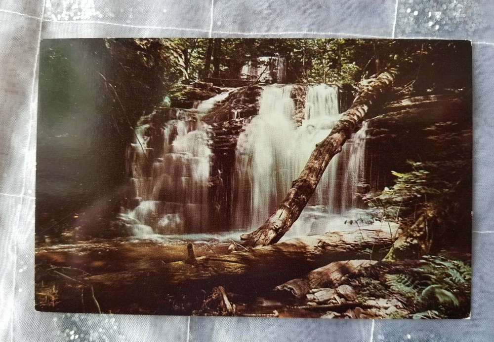 Pennsylvania Postcard - WYANDOT FALLS - Rickett's Glen State Park