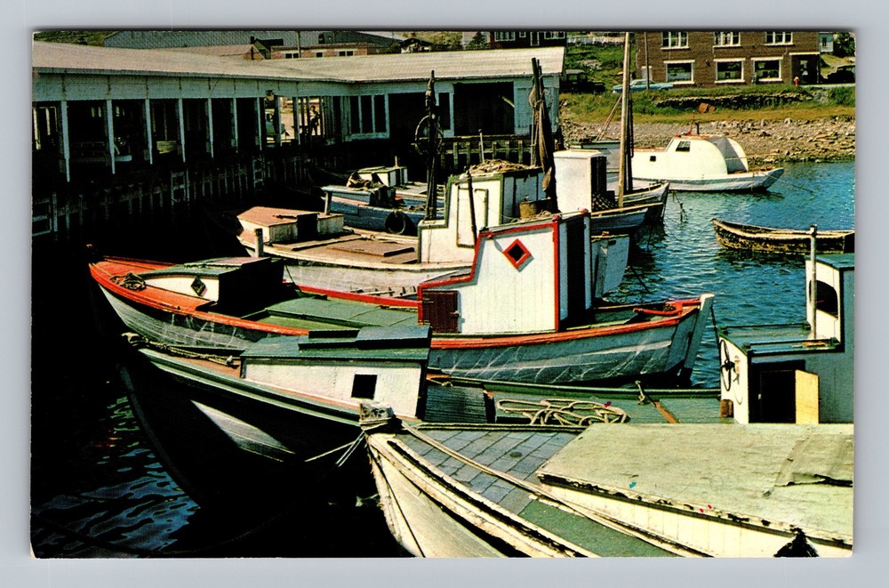 Canada Newfoundland Harbor Grace Fishing Boats Postal Old Card Vintage Postcard
