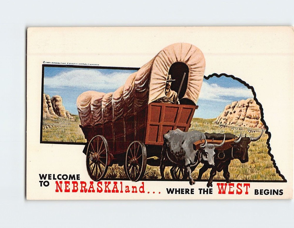 Postcard Conestoga Wagon And Oxen Nebraskaland  Nebraska