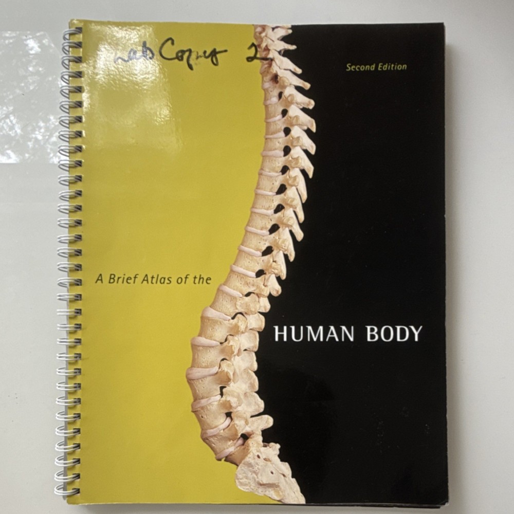 Pearson A Brief Atlas of the Human Body 2nd Ed Spiral Illustrated Hutchinson