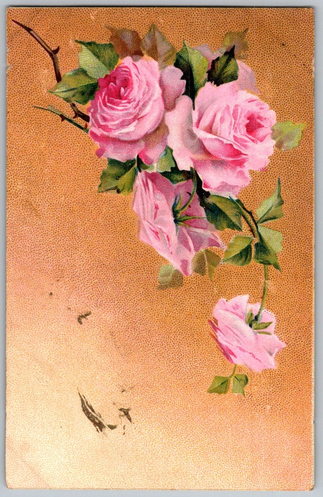 Antique Postcard Pink Roses Bouquet 1910s