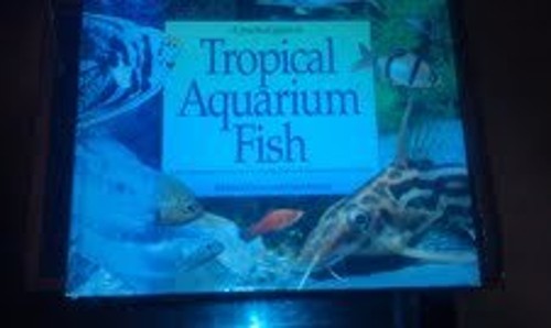 A Practical Guide to Tropical Aquarium Fish Richard, Keeley, DaviFree US Delivery | ISBN:1561382302