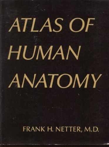 Atlas of Human Anatomy - Paperback, by Netter Frank H. - Acceptable w