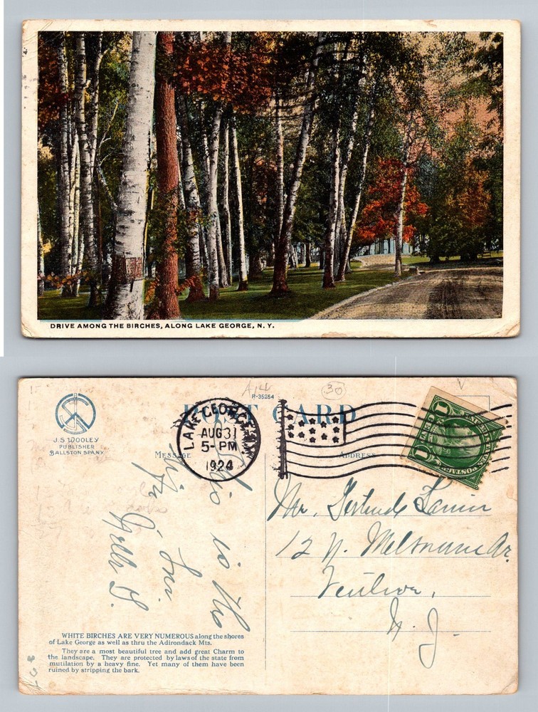 Lake George, NY-New York, Drive Among Birches View c1924 Card Vintage Postcard