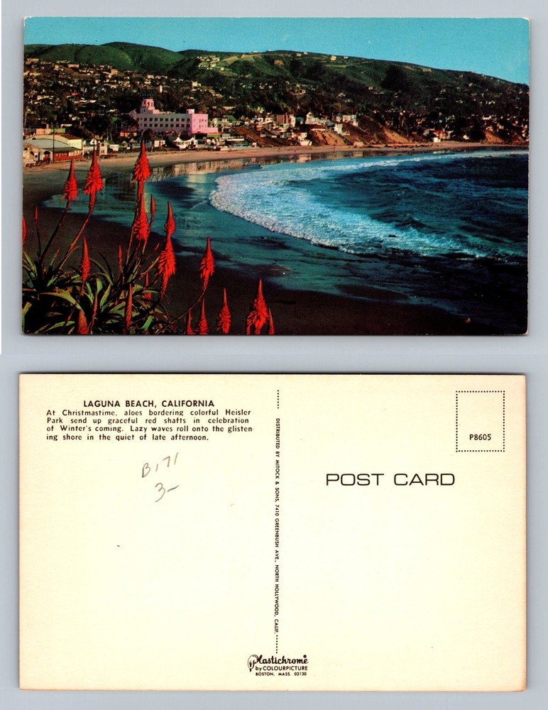 Laguna Beach, CA-California, Aloes Shoreline Heisler Park View Vintage Postcard