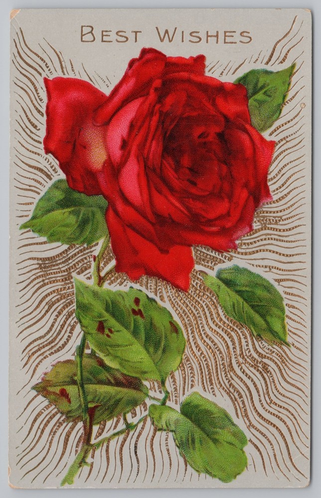 Greetings~Red Rose & Best Wishes~Vintage Postcard