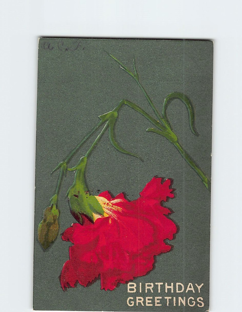 Postcard Vintage Postcard - Birthday Greetings with Red Carnation Flower