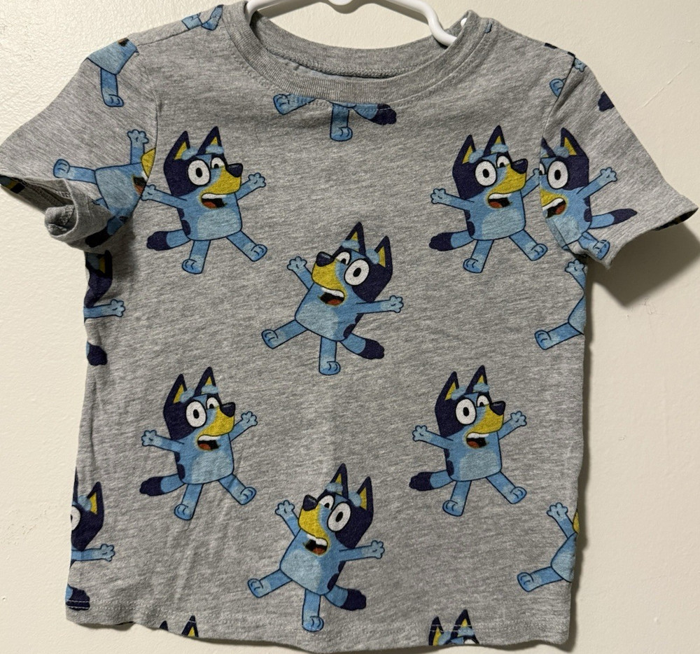 Bluey Unisex 3T Gray Cotton Graphic Print Crew Neck Short Sleeve T-Shirt