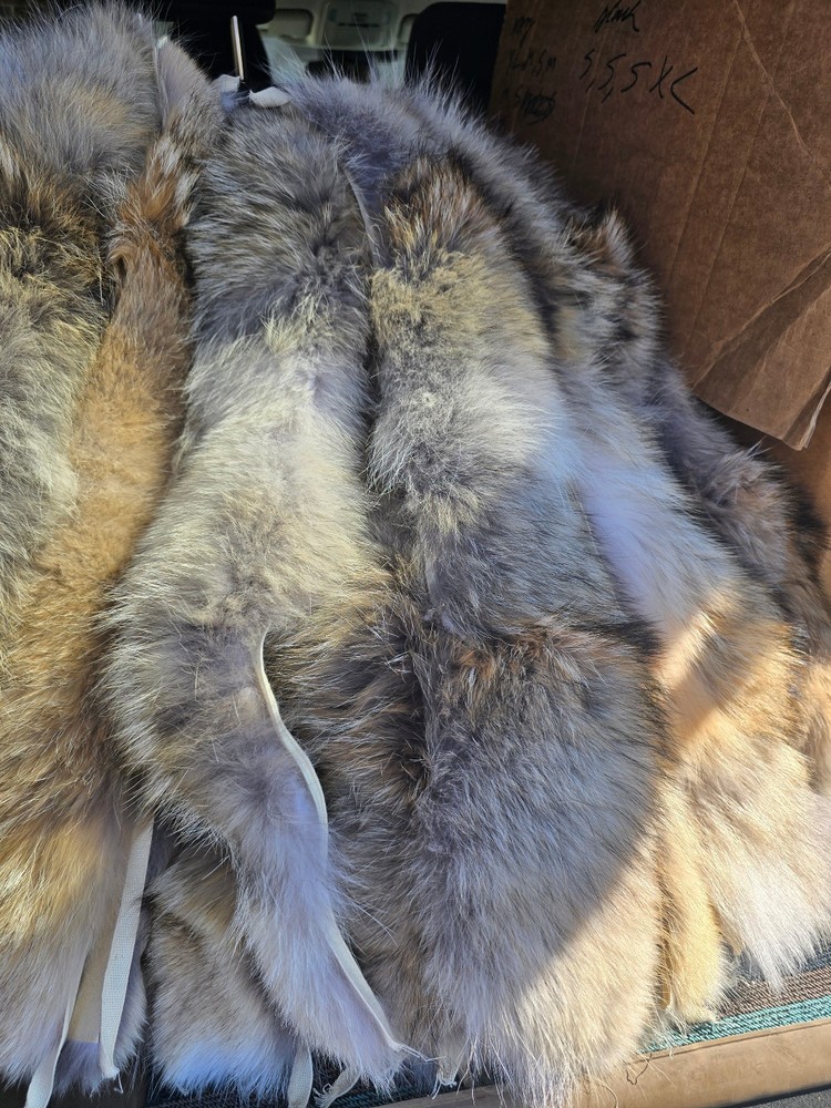 Canada Goose Coyote Replacement Fur23