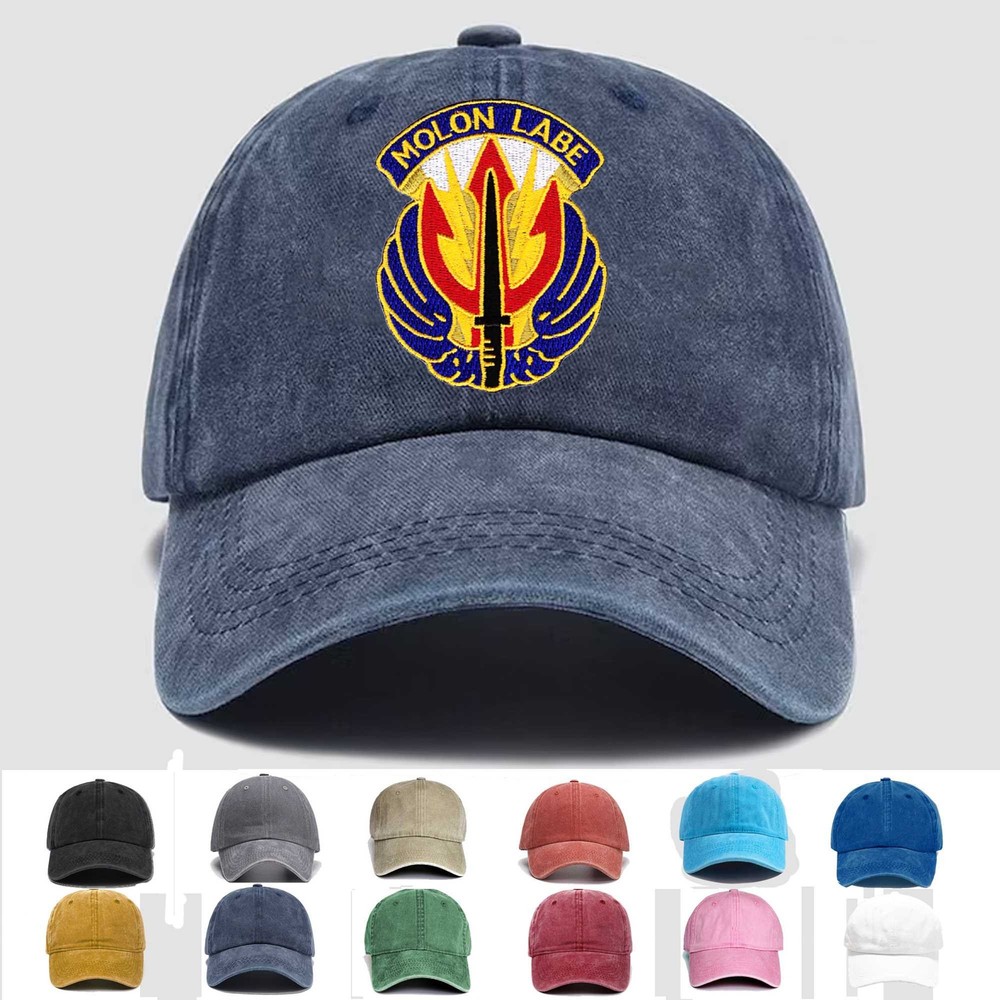 Custom Embroidered Hat Airborne SOC Central Theater Of Operation, Veteran Cap