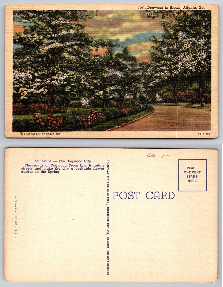 Dogwood in Bloom Atlanta GA C.T. Art-Colortone Linen Postcard Edgar Orr