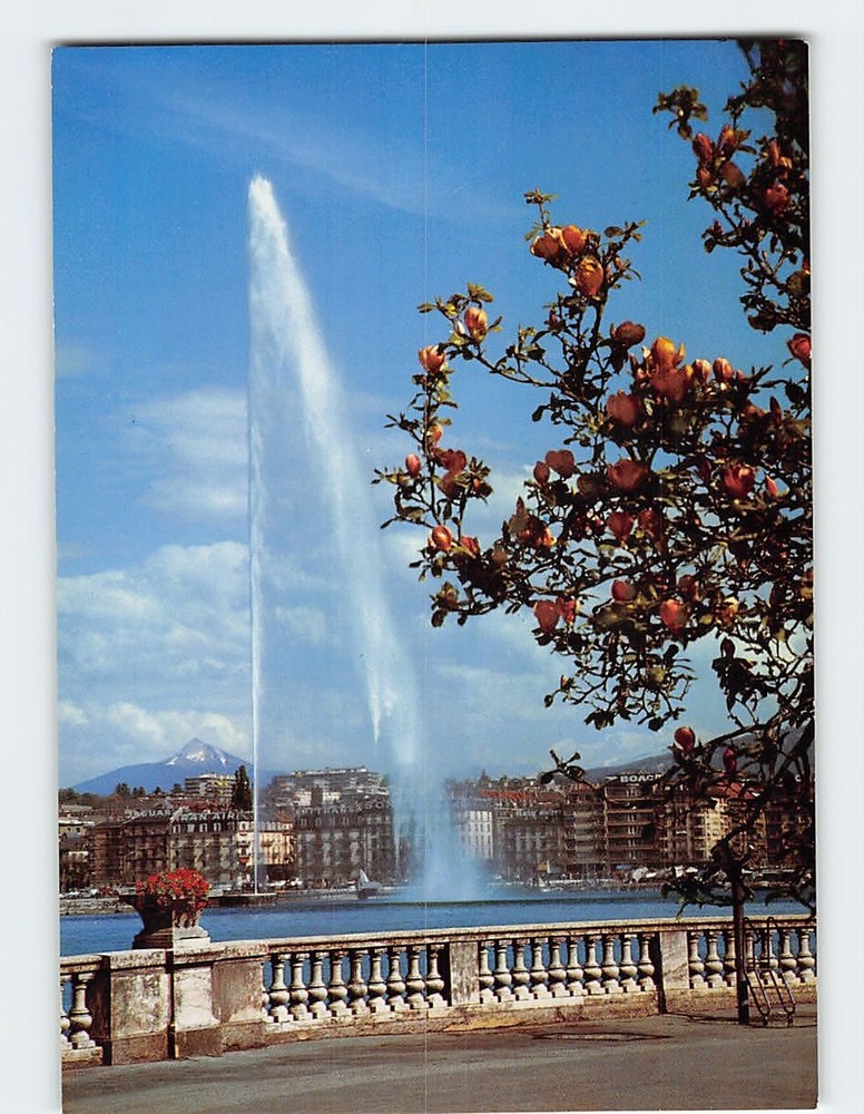 Postcard La rade et le jet d eau Geneva Switzerland