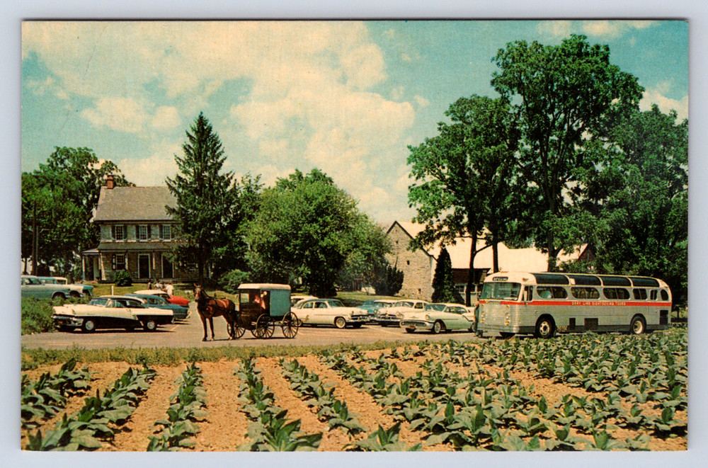 Vintage Postcard Amish Farm House Lancaster Paradise Pennsylvania