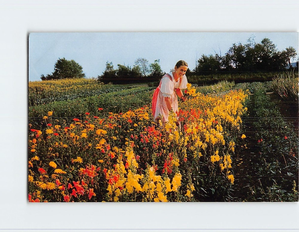 Postcard Hedwig Trapp in the Family Gardens Trapp Family Lodge Stowe Vermont